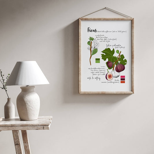 Botanisches Poster Feige Pflanze – Vintage Illustration | Natur Motiv für Wohnzimmer & Küche