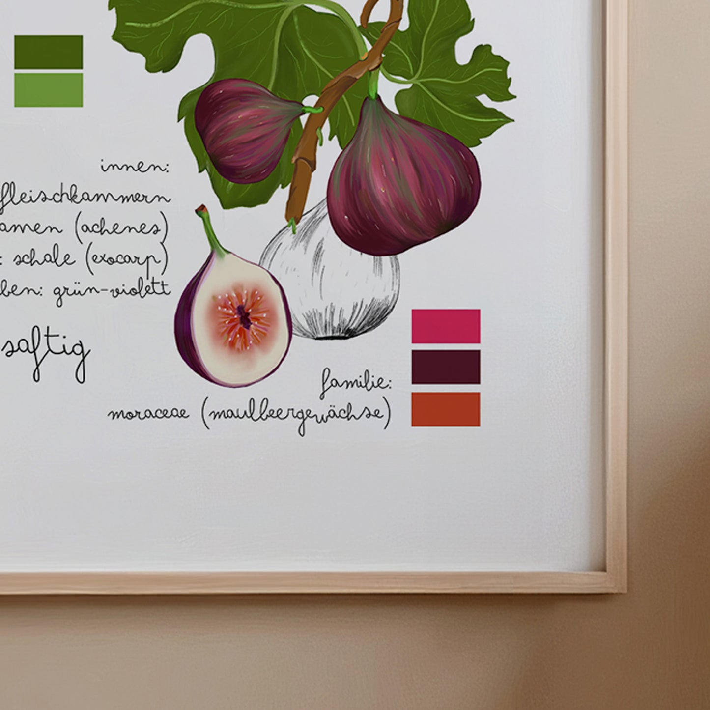 Botanisches Poster Feige Pflanze – Vintage Illustration | Natur Motiv für Wohnzimmer & Küche