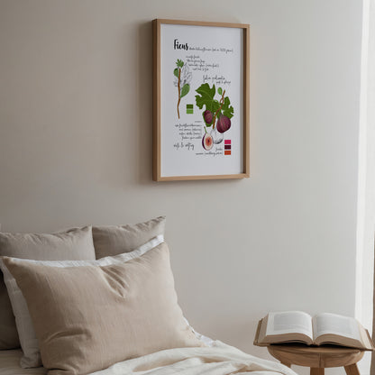 Botanisches Poster Feige Pflanze – Vintage Illustration | Natur Motiv für Wohnzimmer & Küche